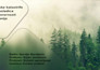 create a professional powerpoint case study presentation